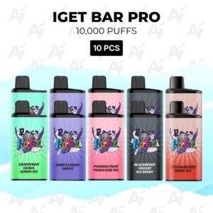 10 Pack IGET Bar Pro Mixed Flavours 10000 Puffs