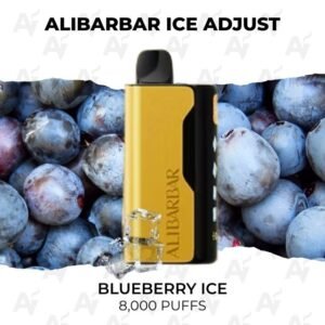 Alibarbar Ice Adjust Blueberry 12000 Puffs