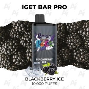 IGET Bar Pro Blackberry Ice 10000 Puffs