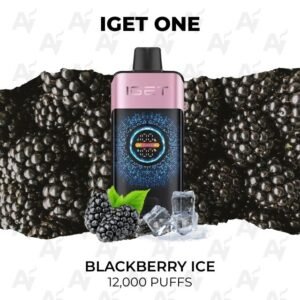 IGET One Blackberry Ice 12000 Puffs